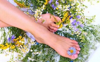 How to treat varicose veins in the legs